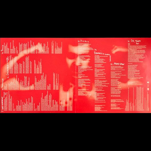 Noga Erez - The Vandalist (2024) [1LP]