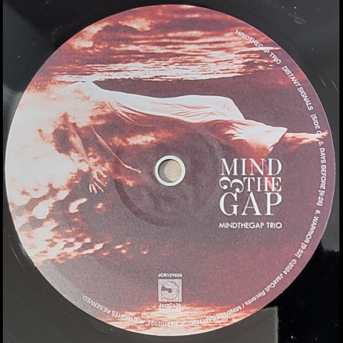 Mindthegap Trio - Distant Signals (2024) [2LP]
