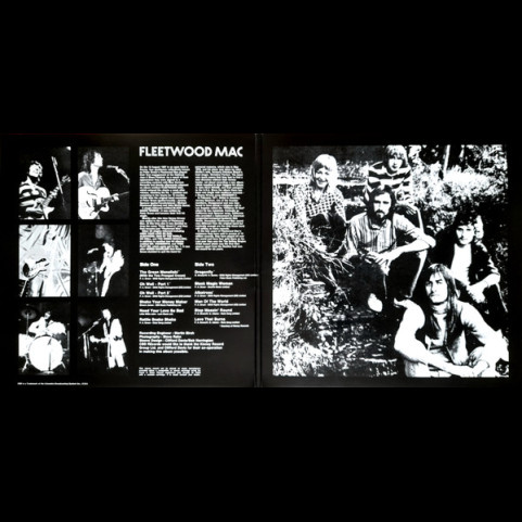 Fleetwood Mac - Fleetwood Mac's Greatest Hits (2025) [1LP]