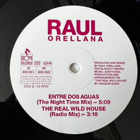 Raúl Orellana - The Real Wild House (1989) [12"]