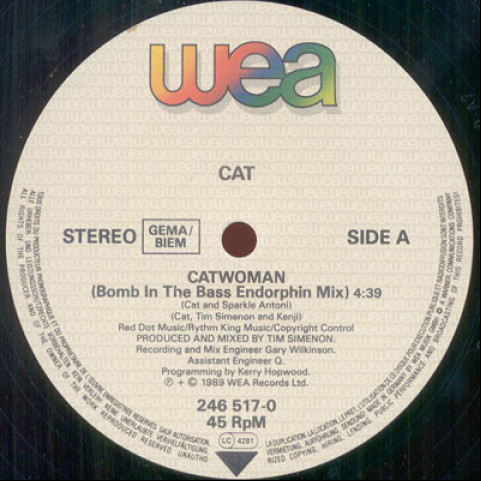 Cat Glover - Catwoman (1989) [12"]
