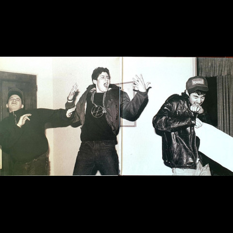 Beastie Boys - Solid Gold Hits (2005) [2LP]