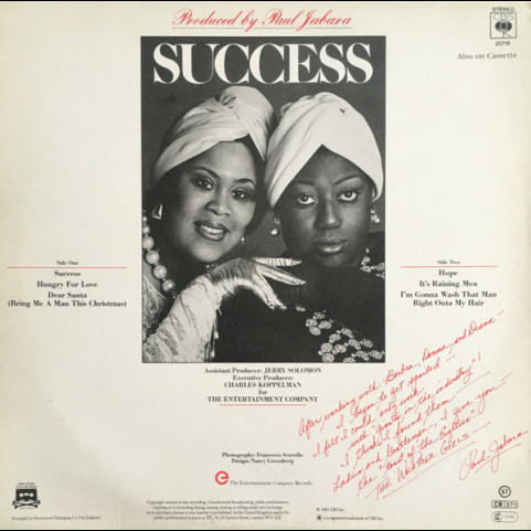 Weather Girls, The - Success (1983) [1LP]
