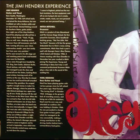 Jimi Hendrix Experience, The - Are You Experienced (2015) [2LP] 180g