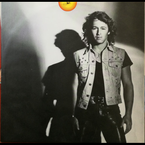 Peter Maffay - Revanche (1980) [1LP]